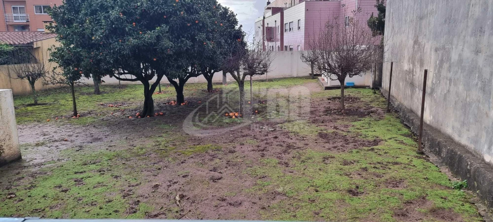 Moradia T3 para Venda em Arcozelo Foto 2