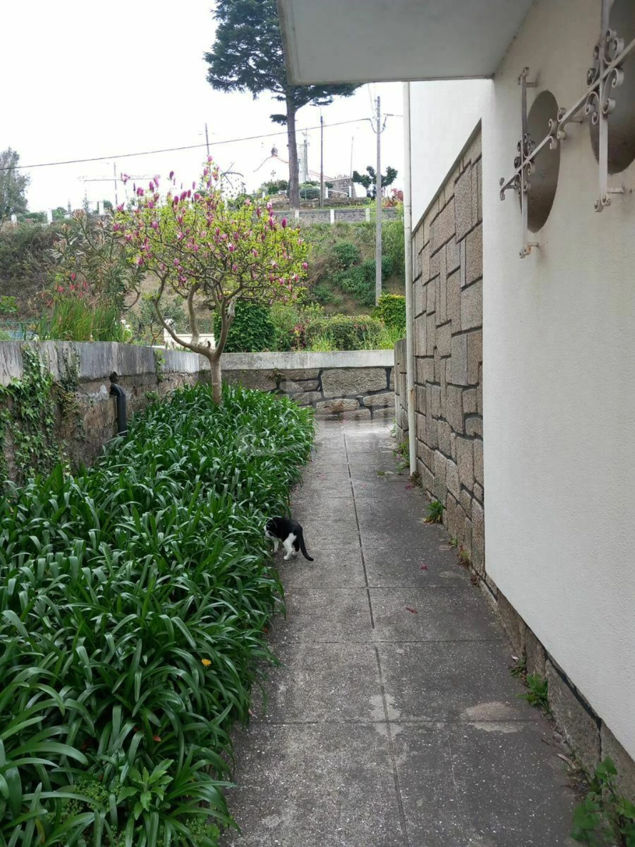 Moradia T7 para Venda em Pedroso e Seixezelo Foto 11