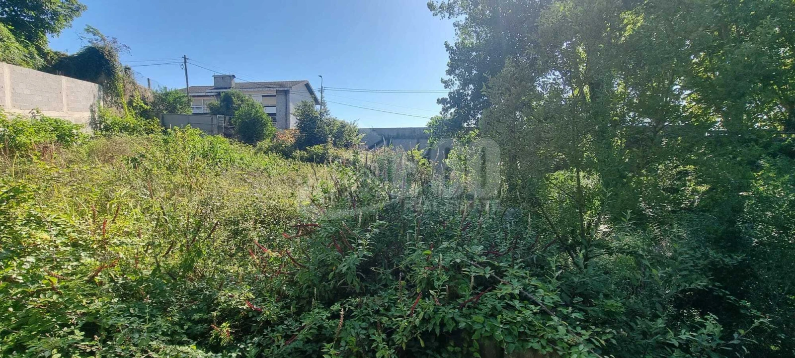 Quinta T0 para Venda em São Felix da Marinha Foto 8