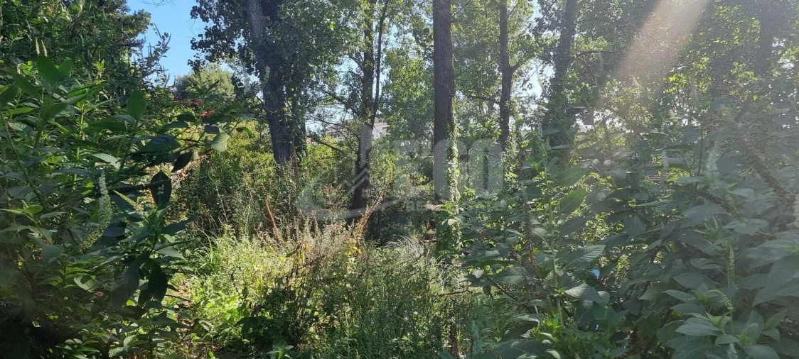 Quinta T0 para Venda em São Felix da Marinha Foto 5
