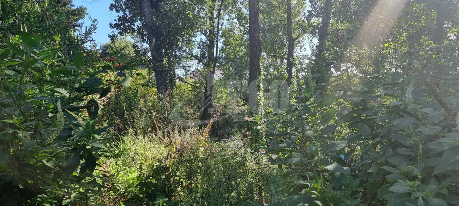 Quinta T0 para Venda em São Felix da Marinha Foto 5