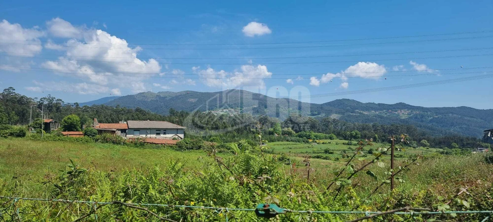 Quinta T0 para Venda em Macieira de Cambra Foto 10