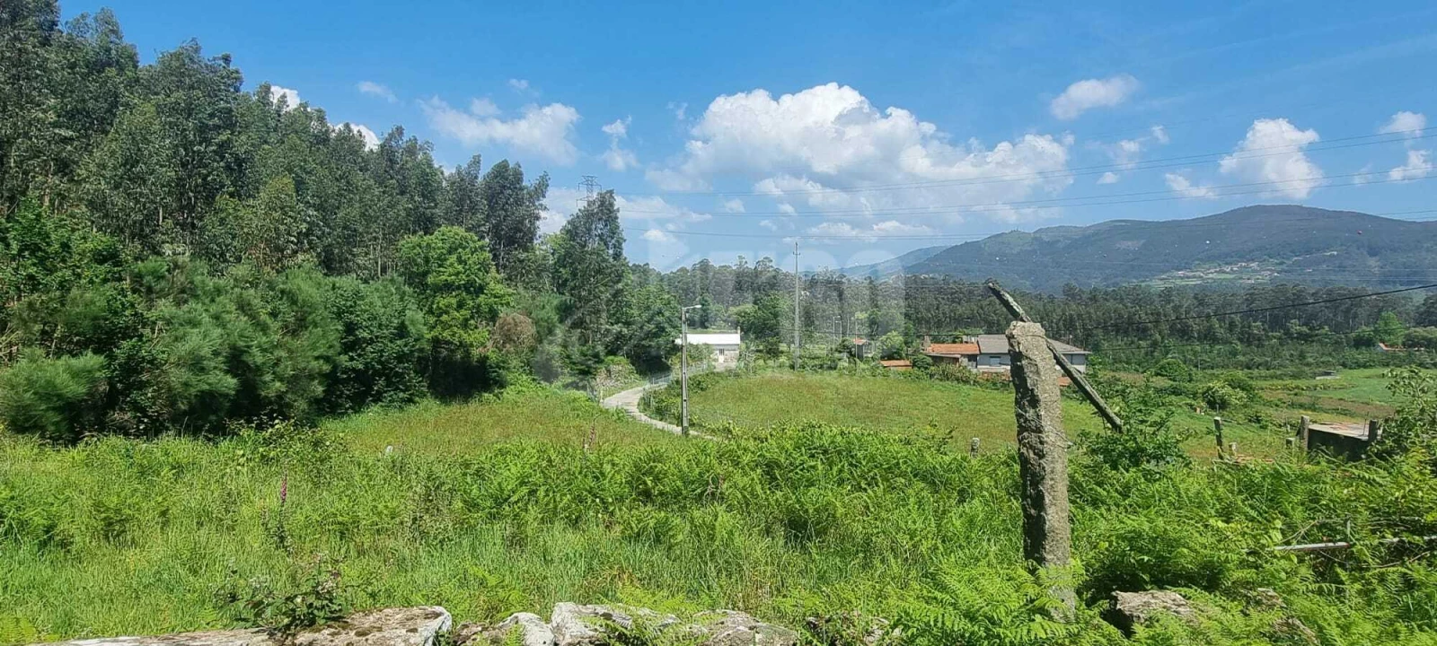 Quinta T0 para Venda em Macieira de Cambra Foto 11