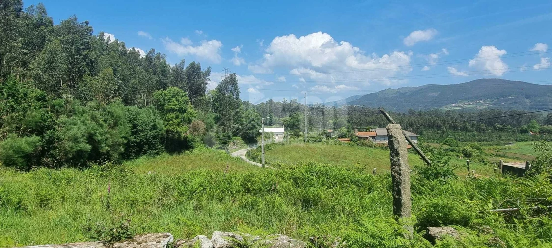 Quinta T0 para Venda em Macieira de Cambra Foto 11