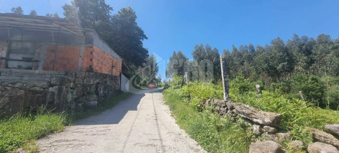 Quinta T0 para Venda em Macieira de Cambra Foto 3