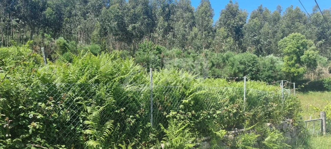 Quinta T0 para Venda em Macieira de Cambra Foto 7