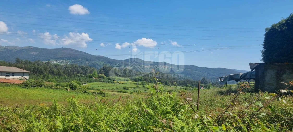 Quinta T0 para Venda em Macieira de Cambra Foto 9
