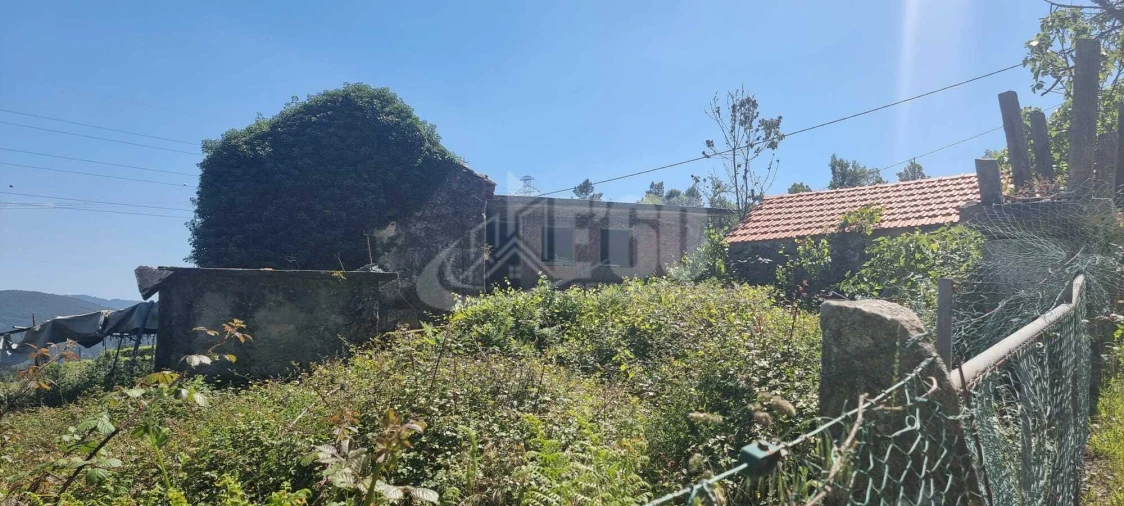 Quinta T0 para Venda em Macieira de Cambra Foto 2