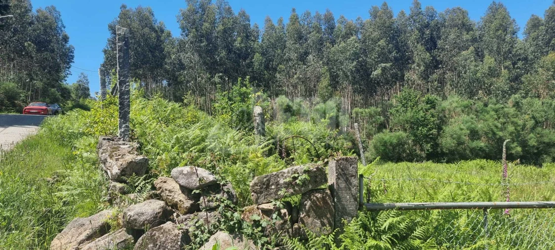 Quinta T0 para Venda em Macieira de Cambra Foto 4