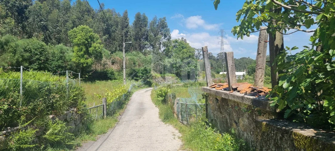Quinta T0 para Venda em Macieira de Cambra Foto 6
