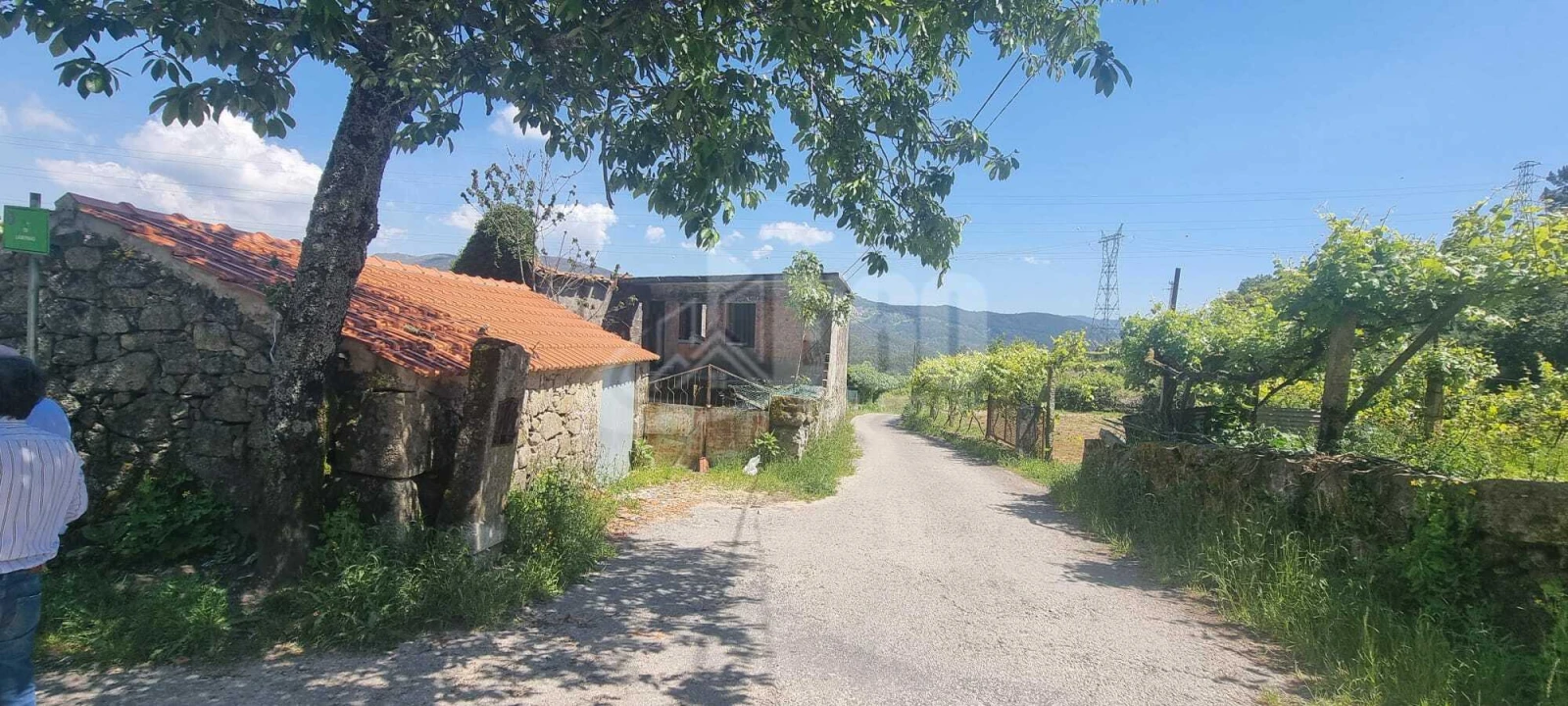 Quinta T0 para Venda em Macieira de Cambra Foto 1