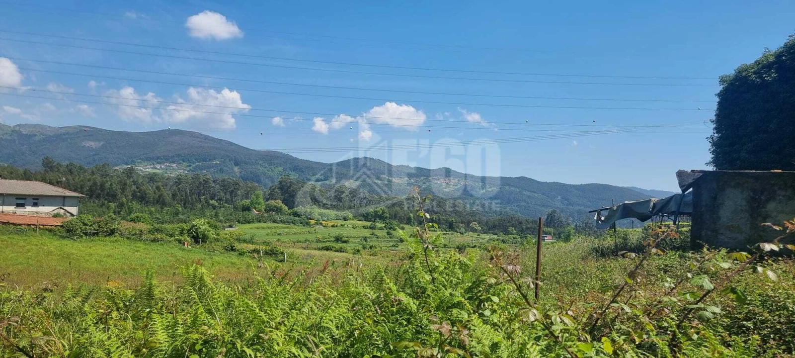 Quinta T0 para Venda em Macieira de Cambra Foto 9