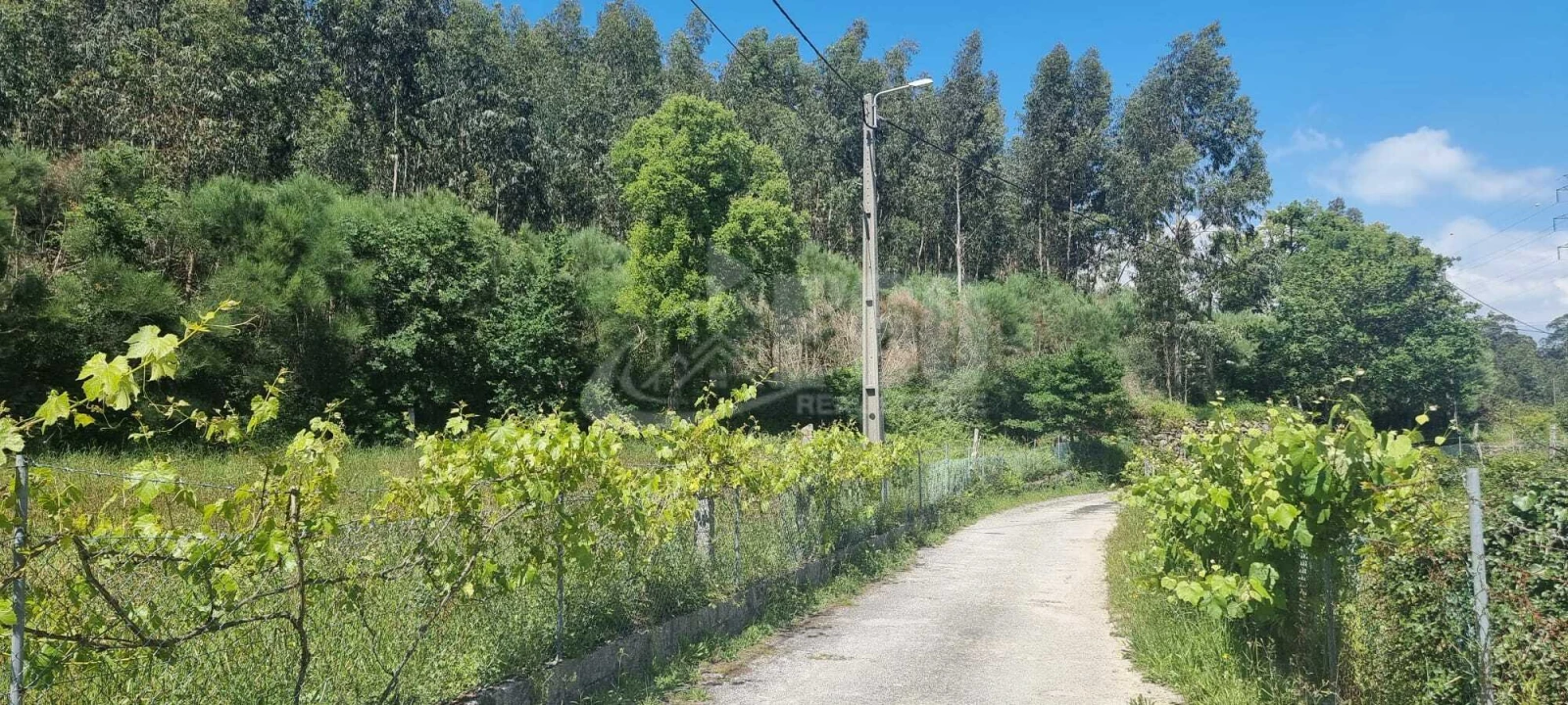 Quinta T0 para Venda em Macieira de Cambra Foto 8