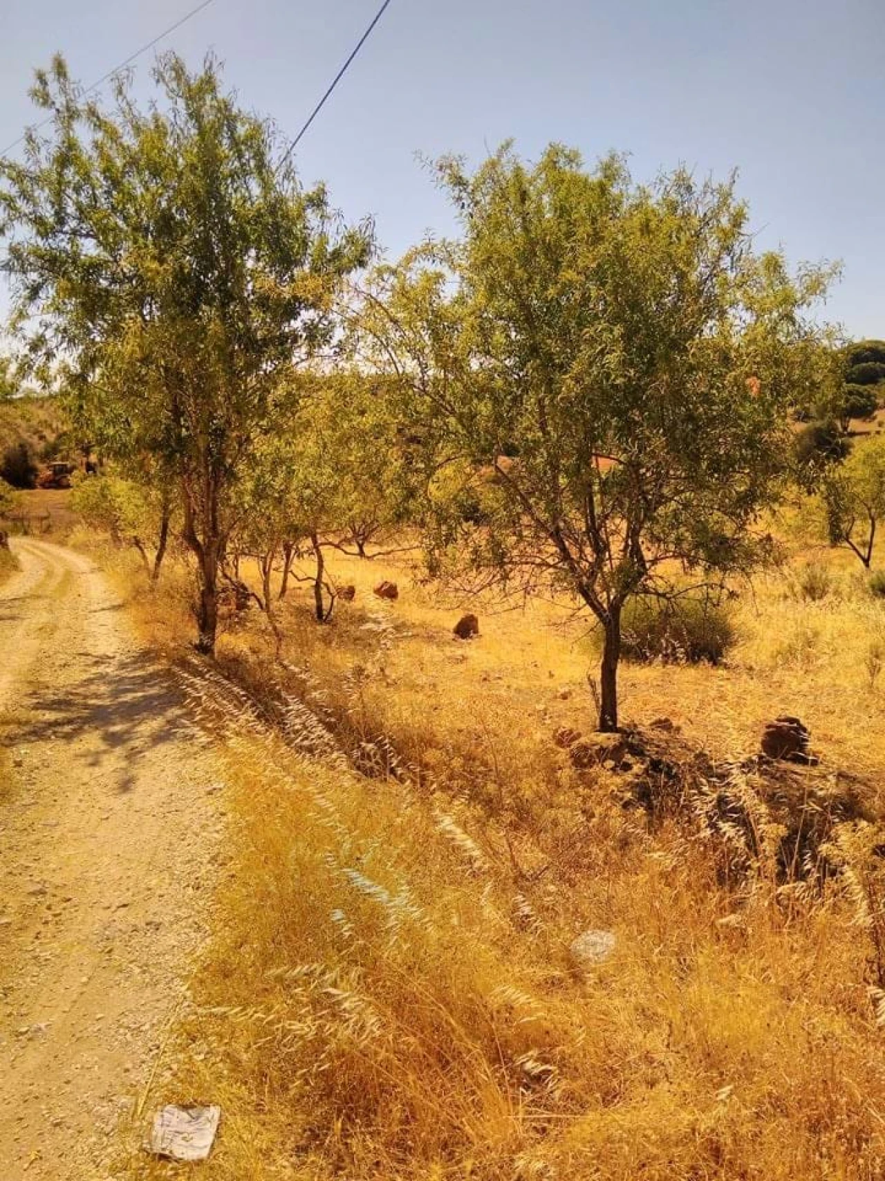 Terreno para Venda em Porches Foto 4