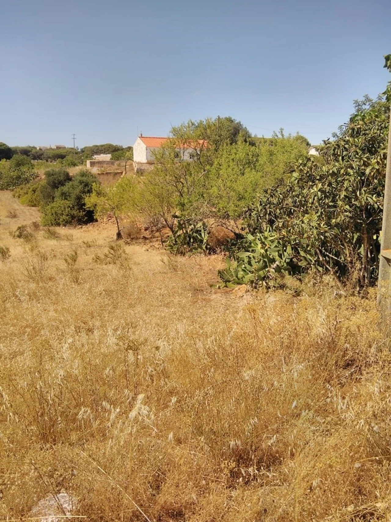 Terreno para Venda em Porches Foto 8