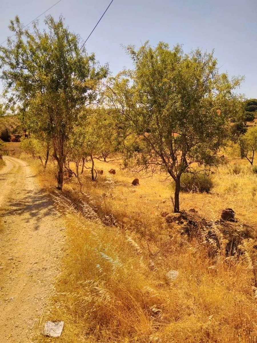 Terreno para Venda em Porches Foto 4