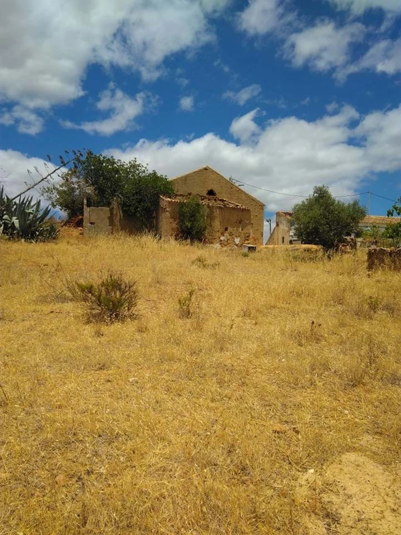 Terreno para Venda em Porches Foto 3