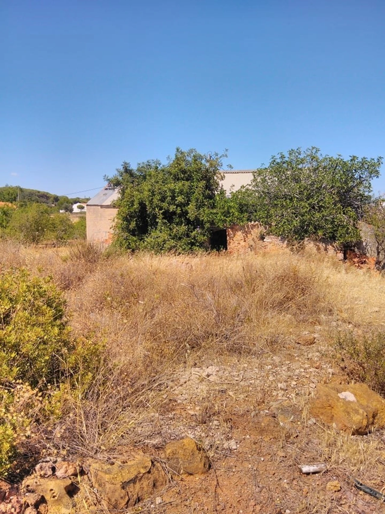 Terreno para Venda em Porches Foto 5
