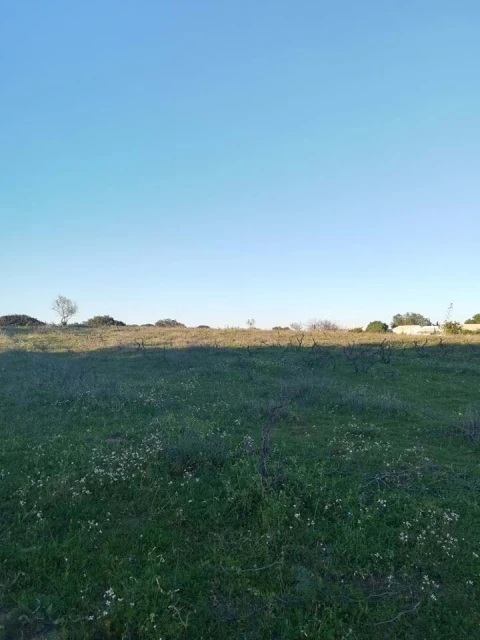 Terreno para Venda em Lagoa e Carvoeiro