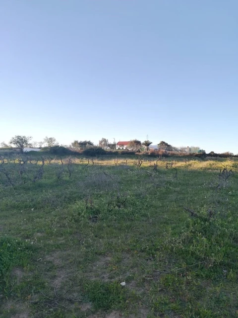 Terreno para Venda em Lagoa e Carvoeiro
