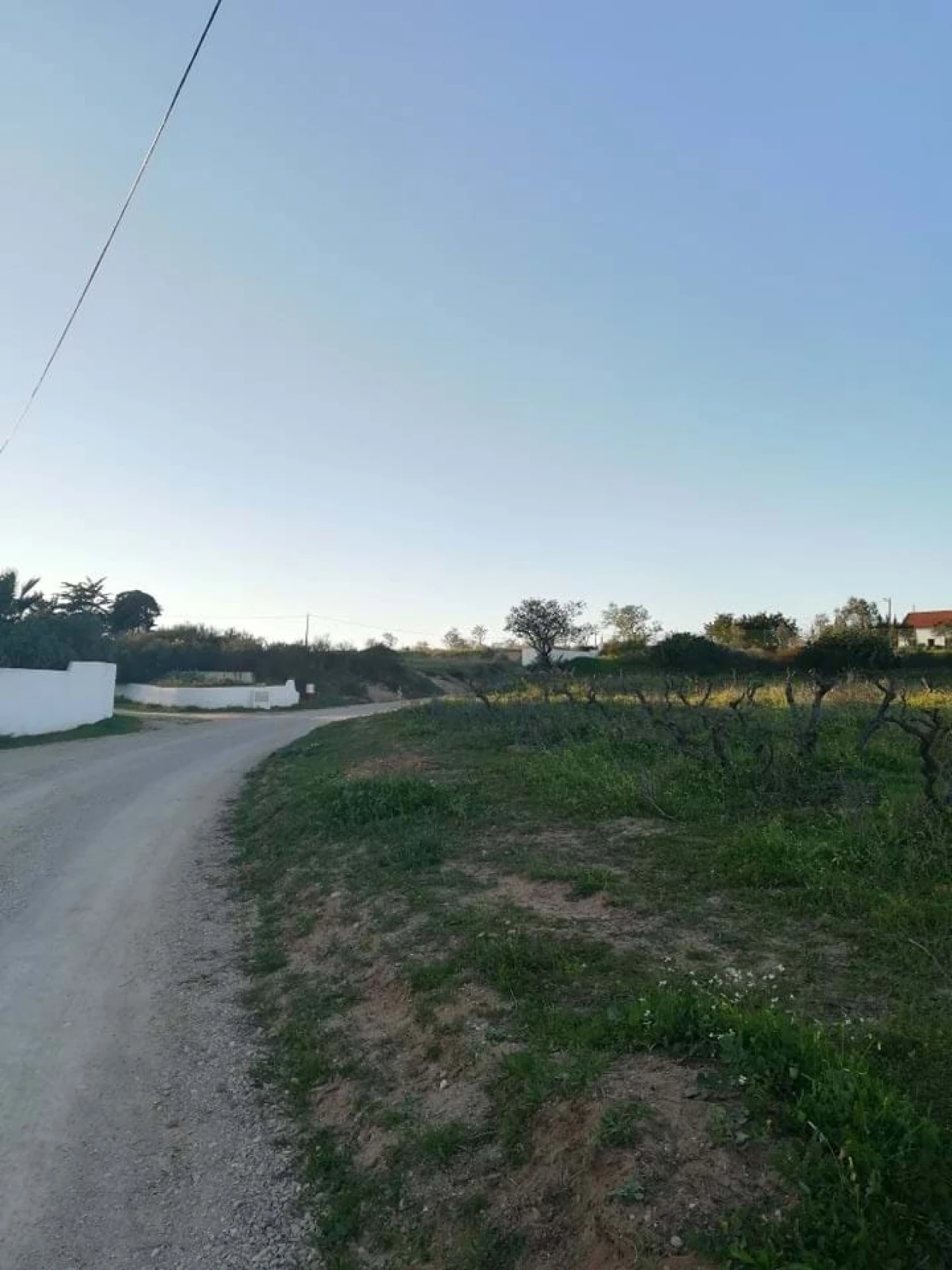 Terreno para Venda em Lagoa e Carvoeiro Foto 4