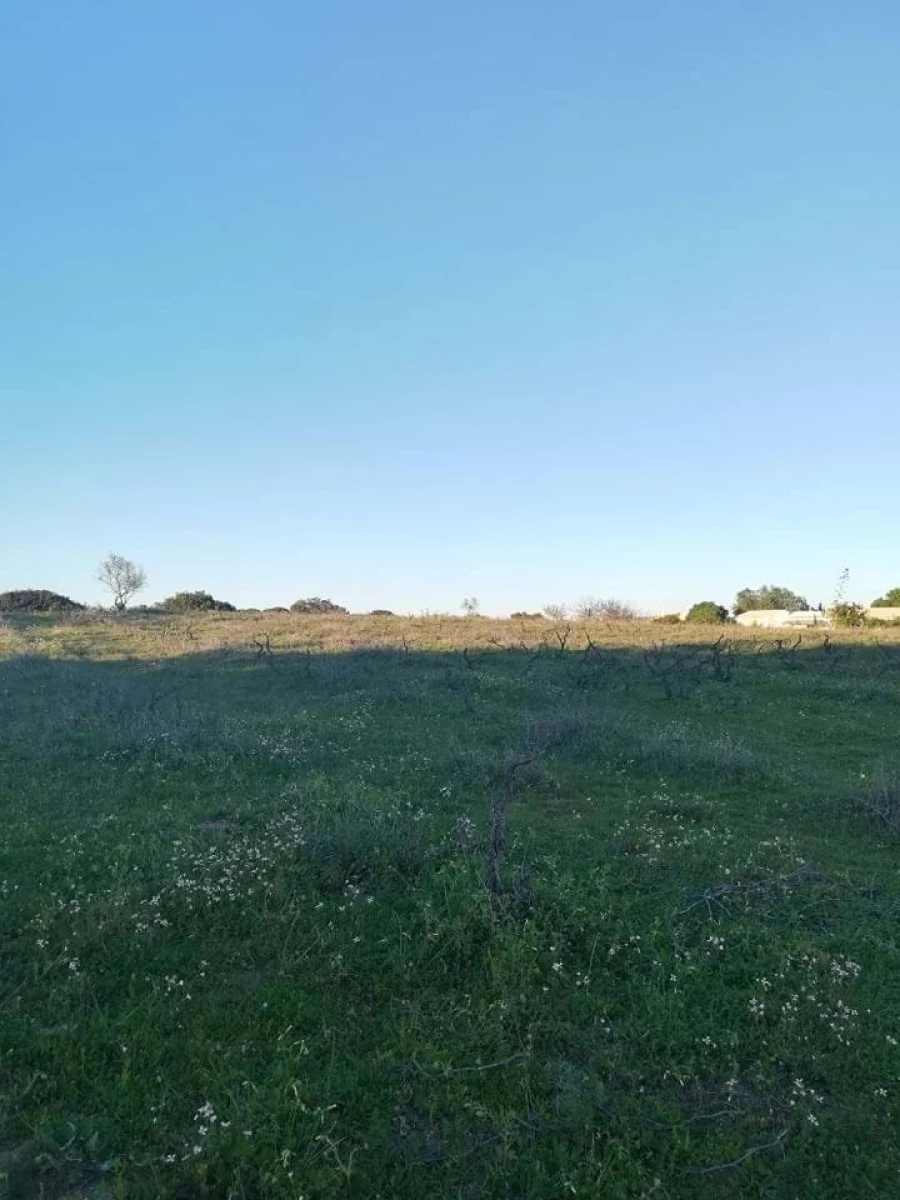Terreno para Venda em Lagoa e Carvoeiro Foto 5