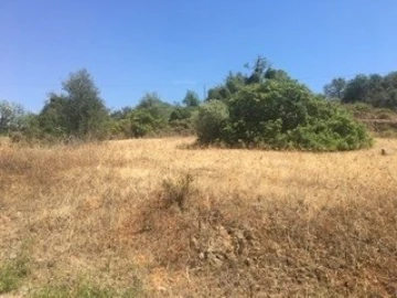 Terreno para Venda em Lagoa e Carvoeiro