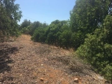 Terreno para Venda em Lagoa e Carvoeiro