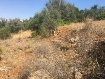 Terreno para Venda em Lagoa e Carvoeiro