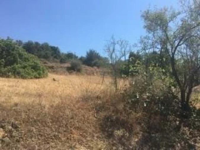 Terreno para Venda em Lagoa e Carvoeiro Foto 5