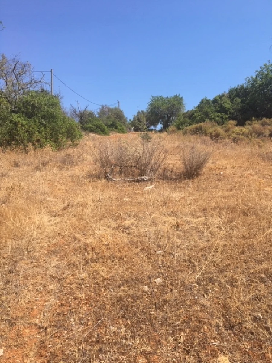 Terreno para Venda em Lagoa e Carvoeiro Foto 13