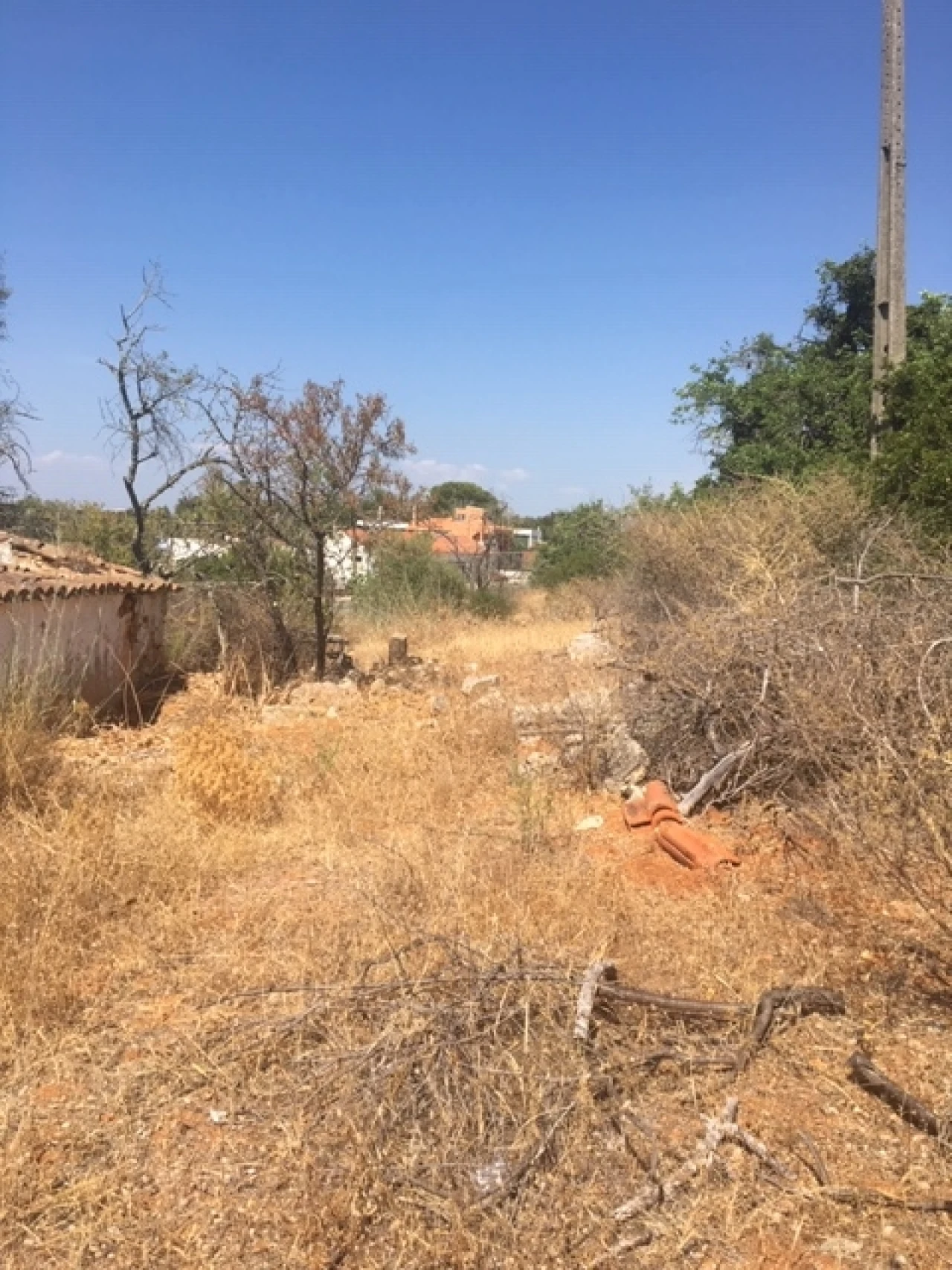 Terreno para Venda em Lagoa e Carvoeiro Foto 14