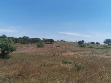 Terreno para Venda em Lagoa e Carvoeiro