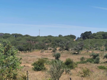 Terreno para Venda em Lagoa e Carvoeiro