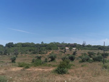 Terreno para Venda em Lagoa e Carvoeiro