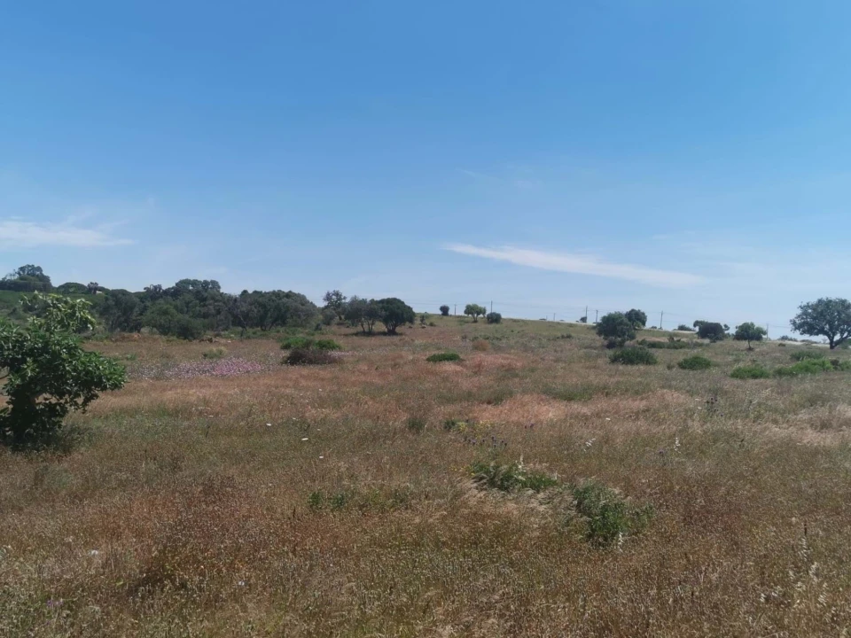 Terreno para Venda em Lagoa e Carvoeiro Foto 3