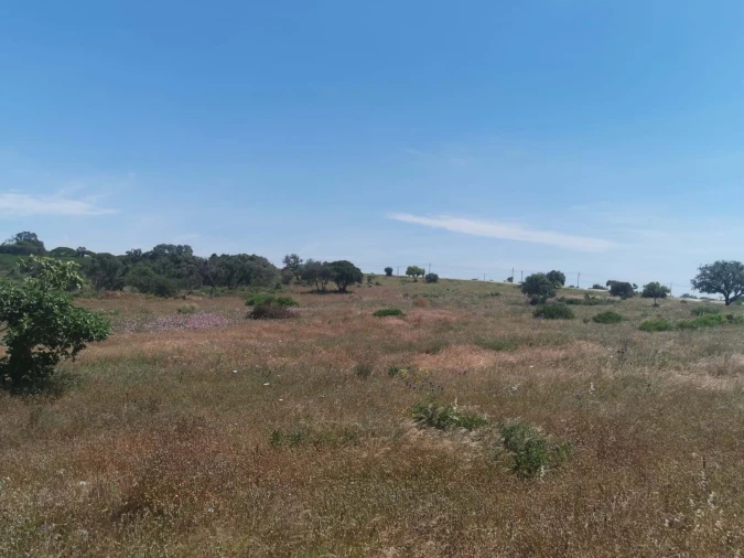 Terreno para Venda em Lagoa e Carvoeiro Foto 3