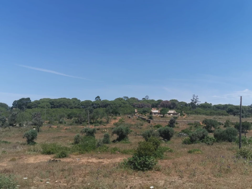 Terreno para Venda em Lagoa e Carvoeiro Foto 1