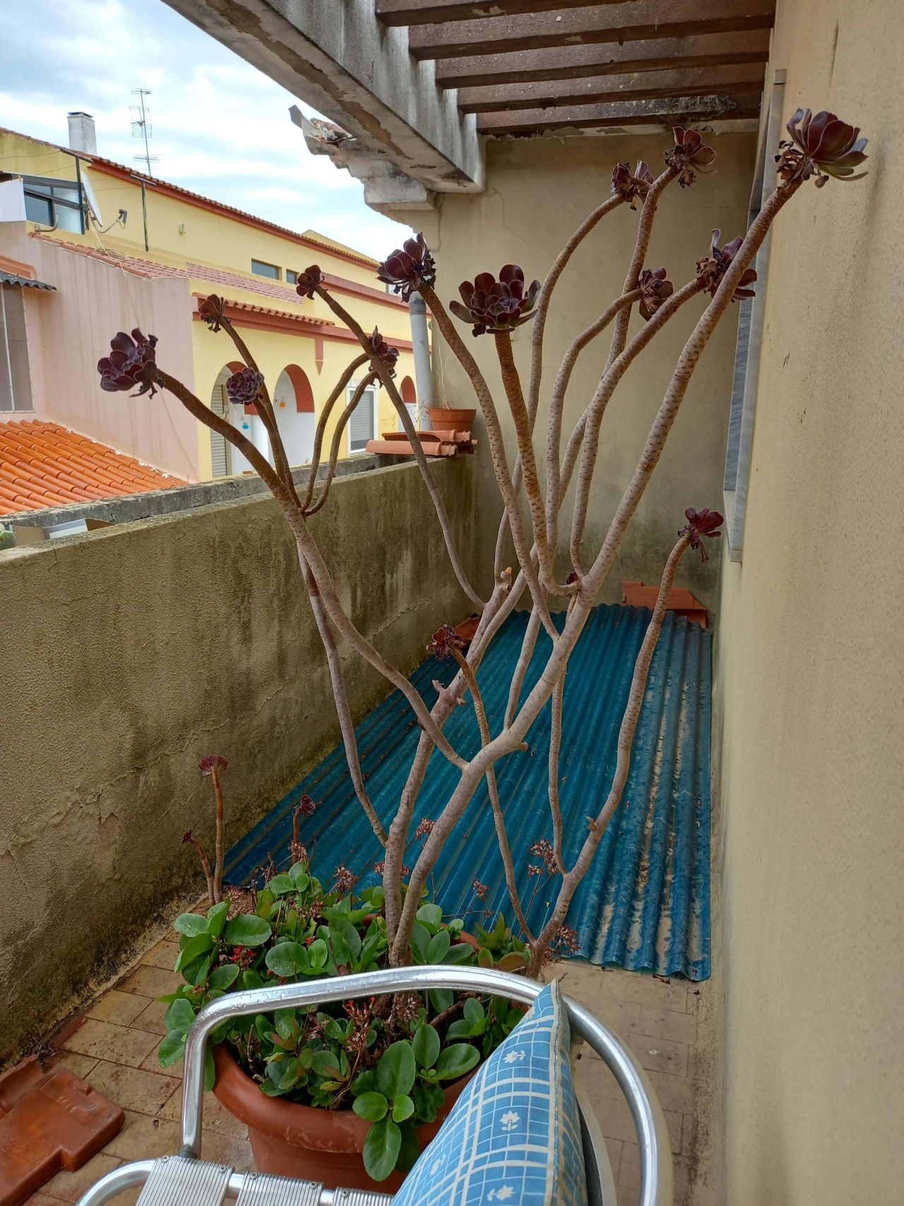 Moradia T5 para Venda em Silves Foto 35