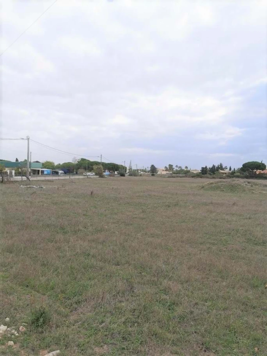 Terreno para Venda em Porches Foto 4