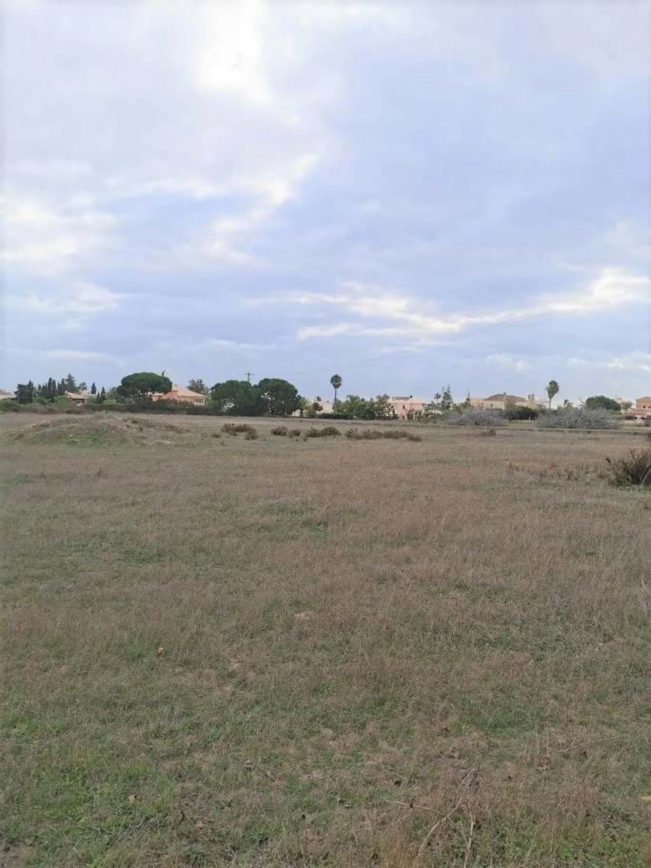 Terreno para Venda em Porches Foto 3