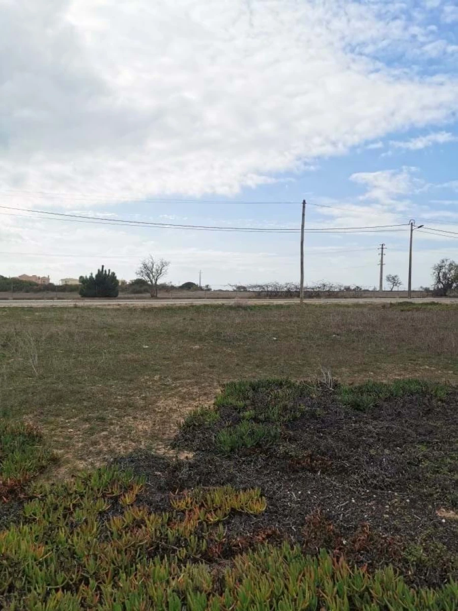 Terreno para Venda em Porches Foto 4