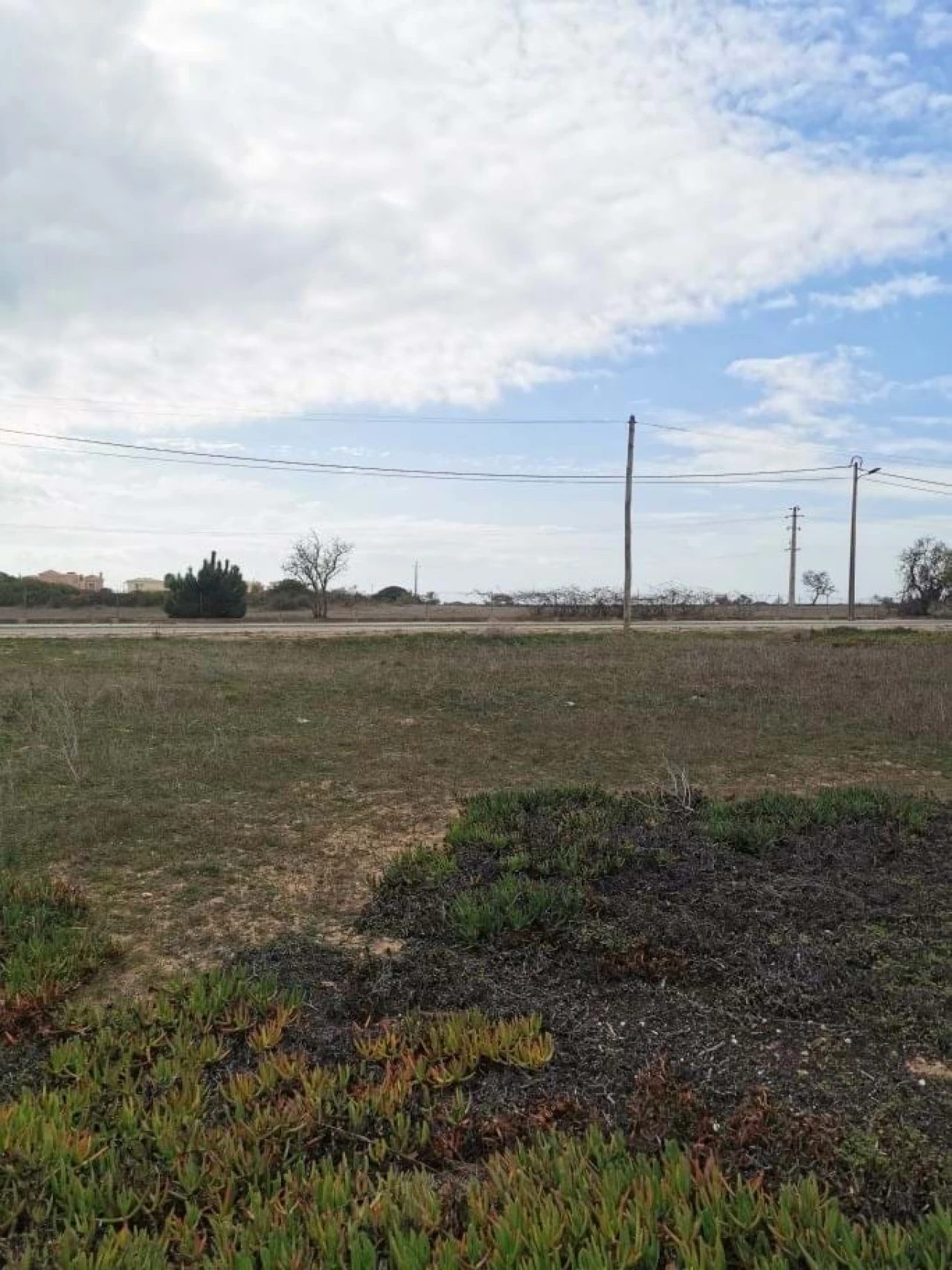 Terreno para Venda em Porches Foto 4