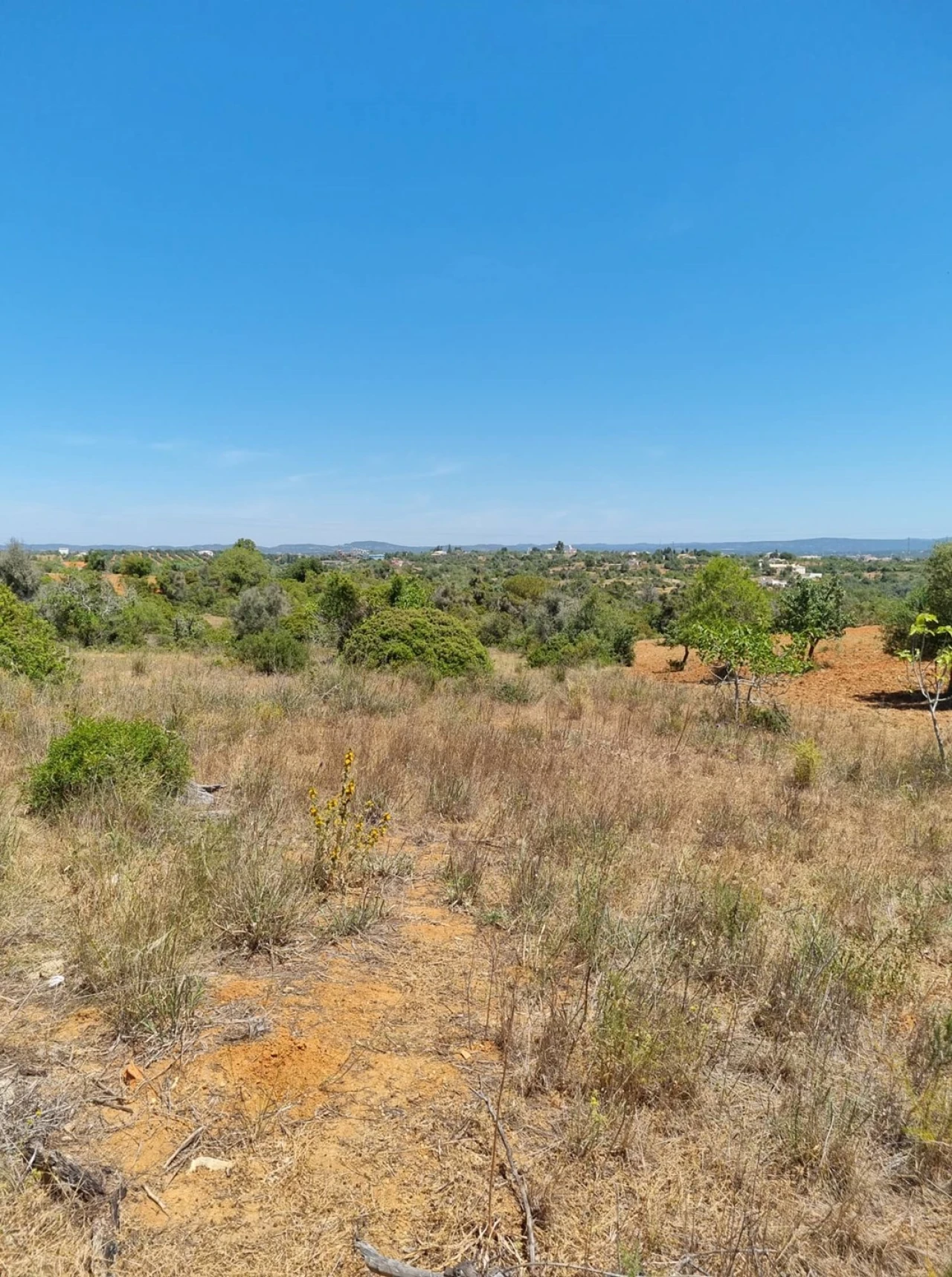 Terreno para Venda em Armação de Pera Foto 10