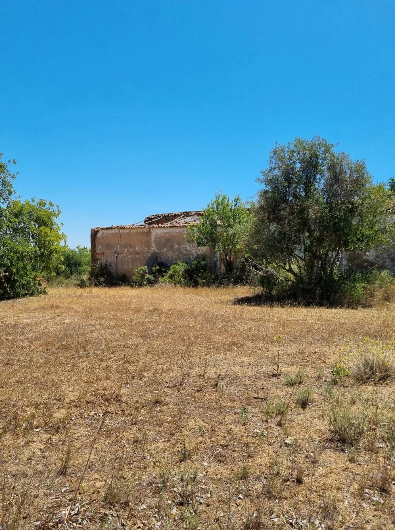Terreno para Venda em Armação de Pera Foto 7