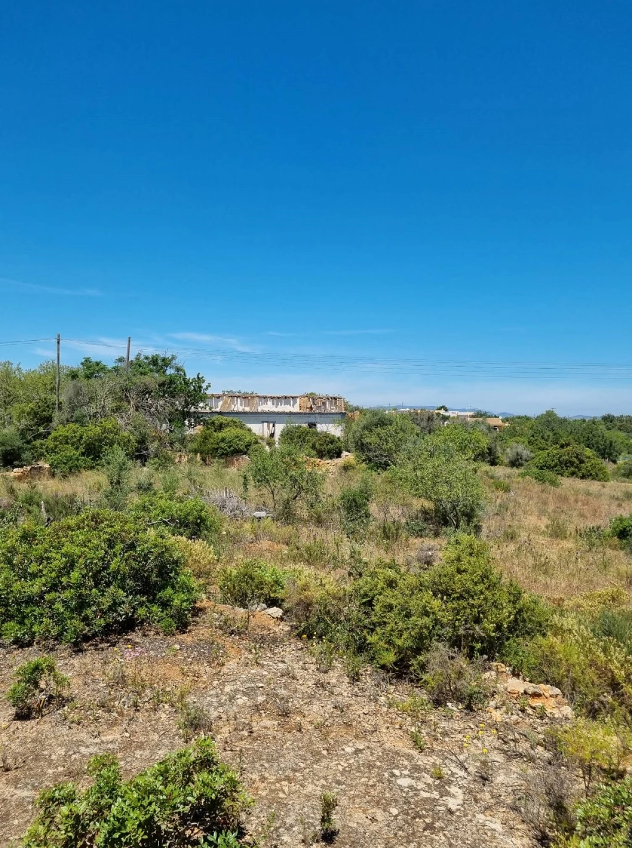 Terreno para Venda em Armação de Pera Foto 4