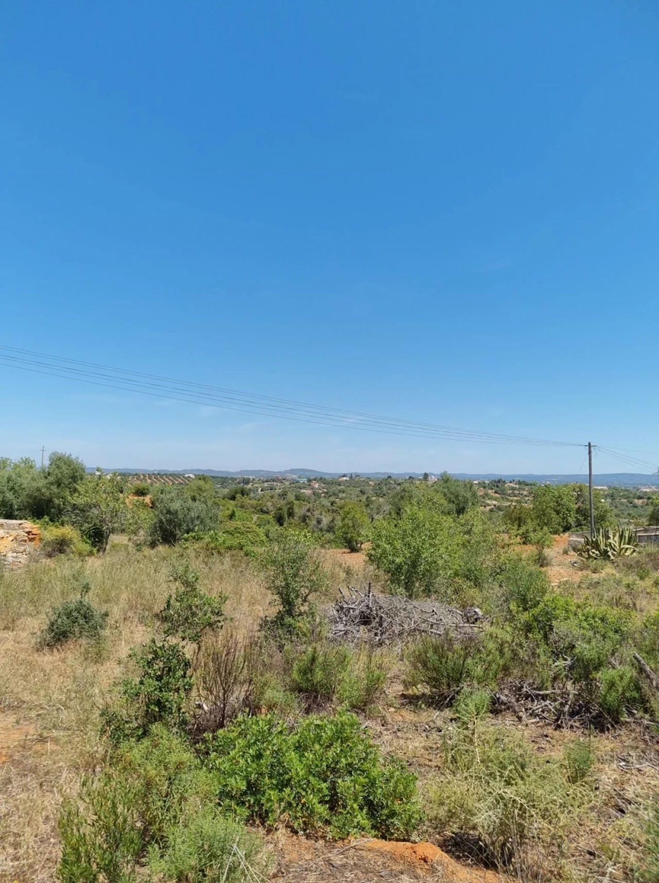 Terreno para Venda em Armação de Pera Foto 8
