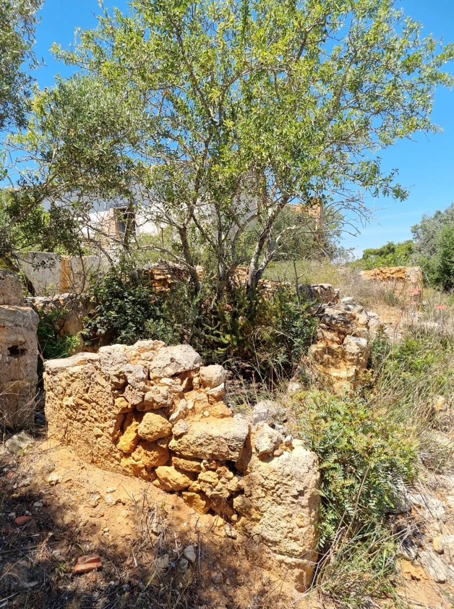 Terreno para Venda em Armação de Pera Foto 11