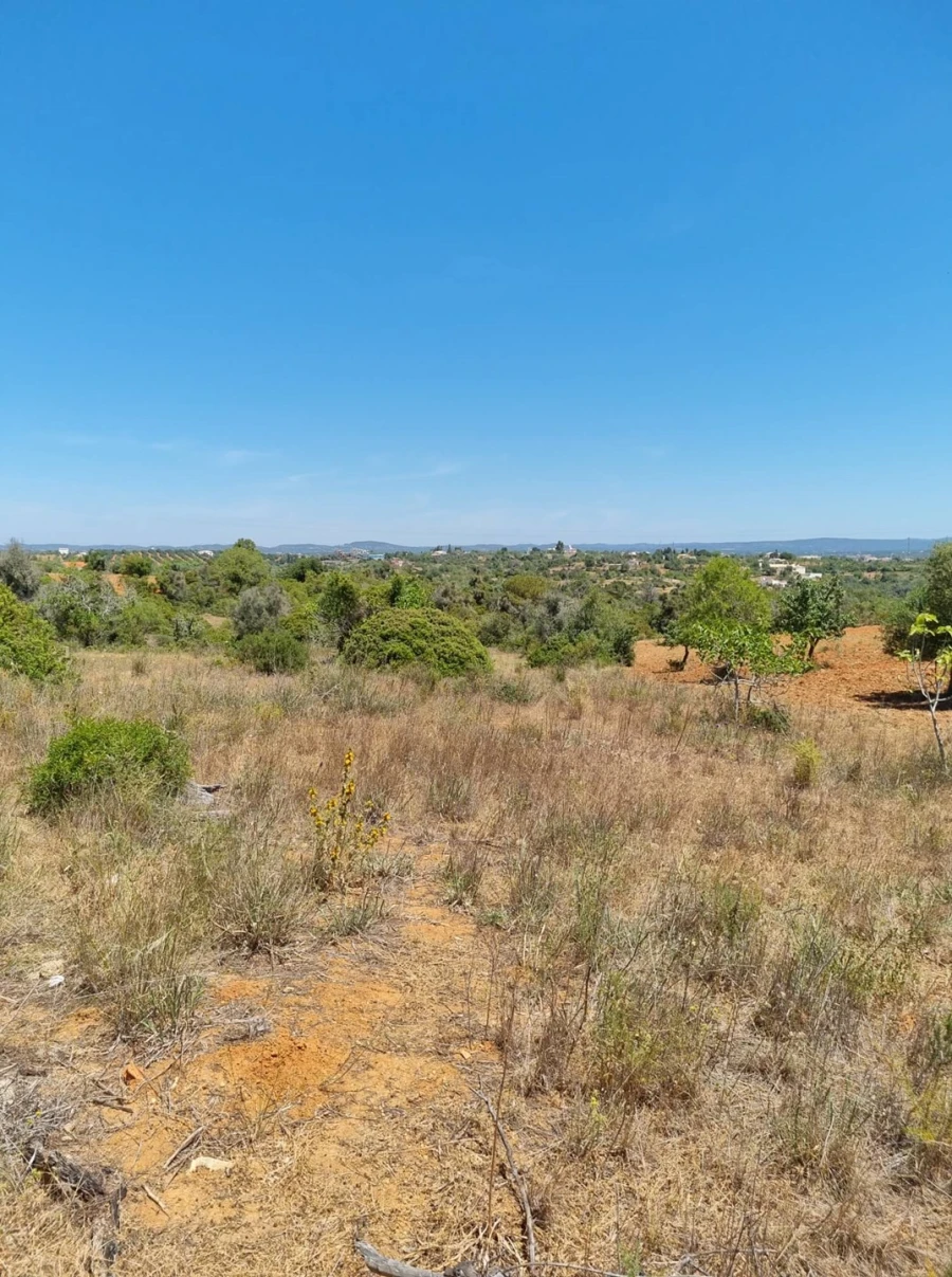 Terreno para Venda em Armação de Pera Foto 10