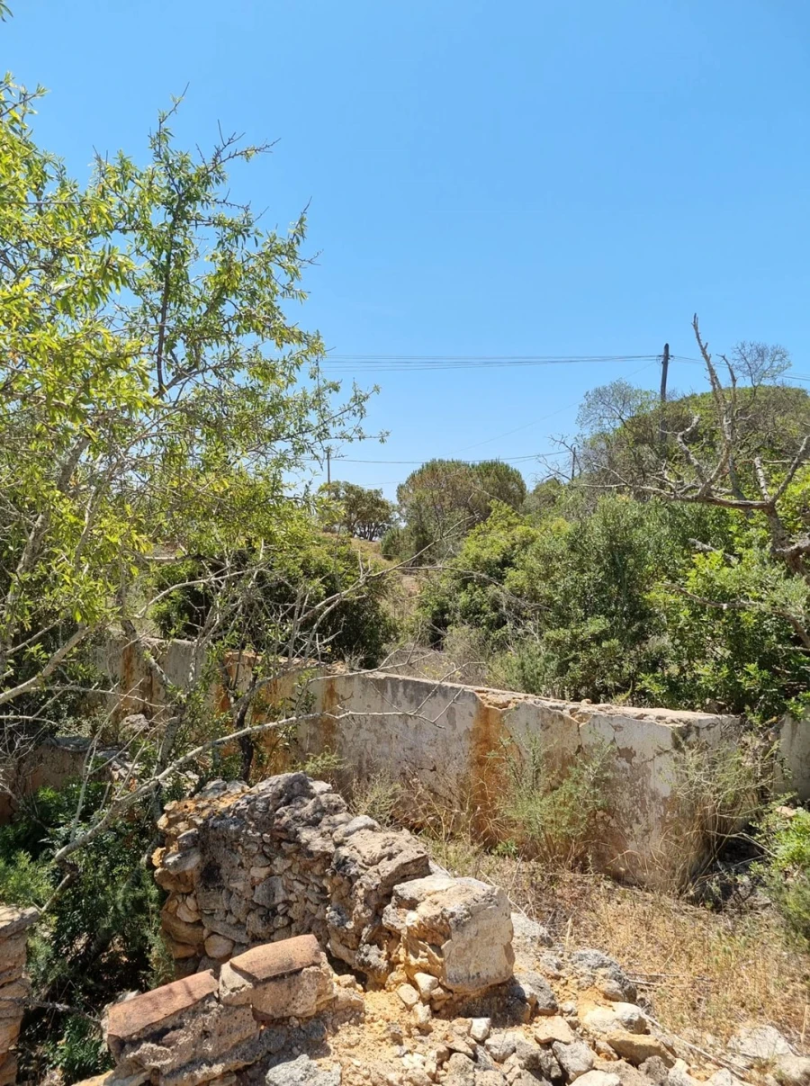 Terreno para Venda em Armação de Pera Foto 9